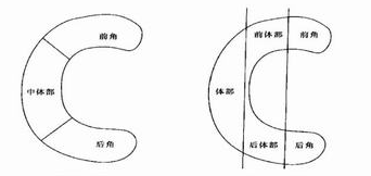 半月板各部位
