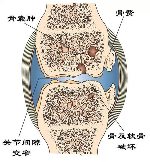 微信图片_20190412164228