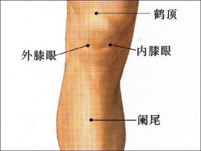 关节炎膝盖疼