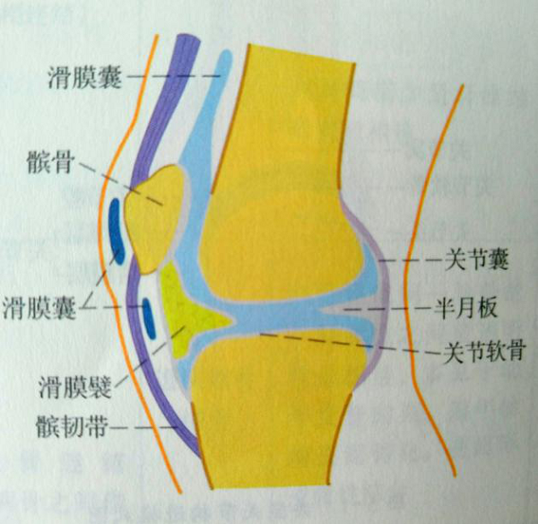 膝关节滑囊炎