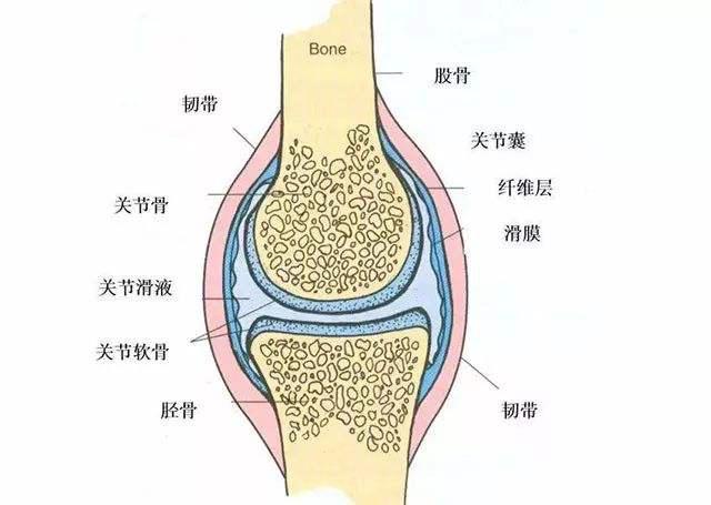 微信图片_20190412165738