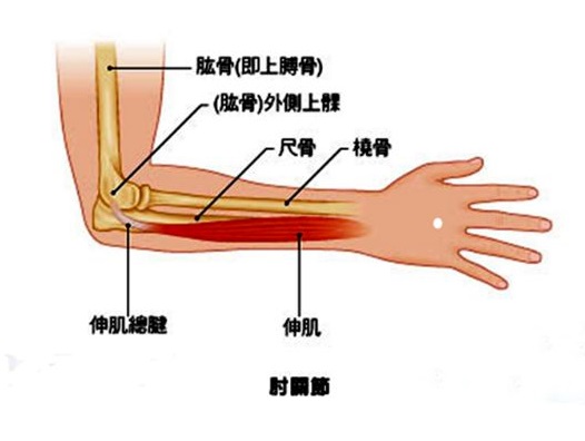 湖北治疗网球肘专业的医院是哪家？