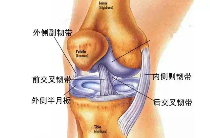 韧带撕裂