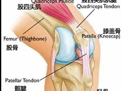 髌骨软化治疗